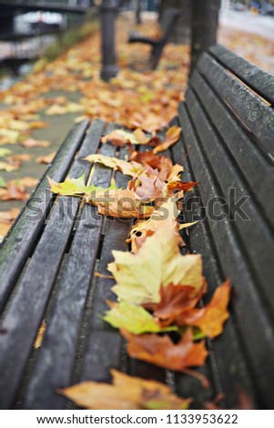 Schon besetzt Herbst Blatt