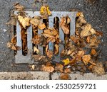 Autumn leaves blocking a storm drain. Fallen leaves of various colors clog a metal drain grate on a wet pavement.