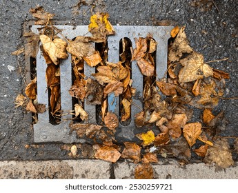 Autumn leaves blocking a storm drain. Fallen leaves of various colors clog a metal drain grate on a wet pavement. - Powered by Shutterstock