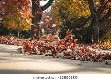 autumn leaves blowing in the wind with pavement and tree in the background