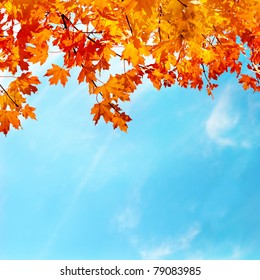 Autumn Leaves With The Blue Sky Background