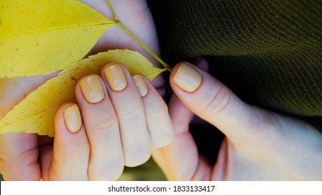 Autumn Leaves And Bordeaux Nails. Nails And Autumn Leaves