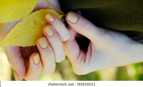 Autumn Leaves And Bordeaux Nails. Nails And Autumn Leaves