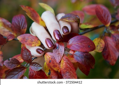 Autumn Leaves And Bordeaux Nails