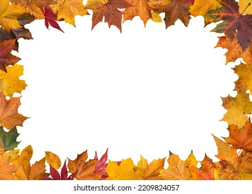 Autumn leaves border or frame - Shutterstock ID 2209824057
