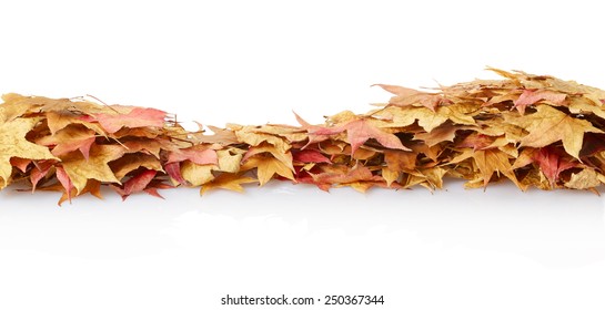 Autumn leaves border isolated on white, clipping path included