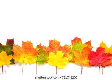 4,308 Autumn Leave Border Images, Stock Photos & Vectors | Shutterstock