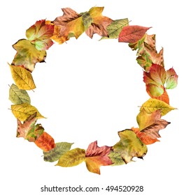 Autumn Leaves Circle