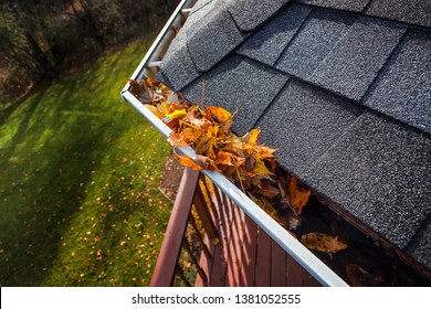 Autumn leaves clogging a rain gutter on a roof
