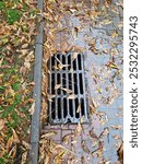 Autumn leaves covering wet street drain grate, with water flowing along the sidewalk, seasonal accumulation of debris, potential flooding hazard. Storm drain clogged with fallen leaves on rainy day