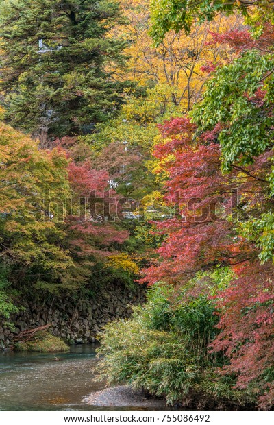 Autumn\
leaves, Fall foliage and Takano River near Yase-Heizan Guchi\
Station at Kamitakano HIgashiyama, Kyoto,\
Japan