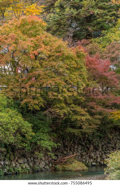 Autumn\
leaves, Fall foliage and Takano River near Yase-Heizan Guchi\
Station at Kamitakano HIgashiyama, Kyoto,\
Japan