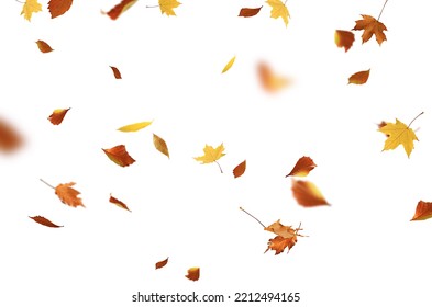 autumn leaves are falling flying white background isolated - Shutterstock ID 2212494165