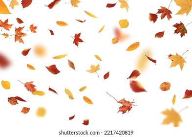 autumn leaves are falling flying white background isolated - Powered by Shutterstock