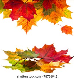 25,605 Falling autumn leaves white background Images, Stock Photos ...
