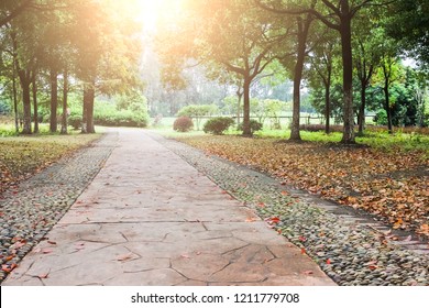 Autumn leaves and flagstone paths in the park