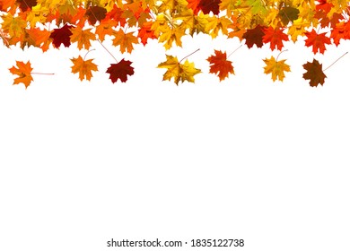 223,304 Autumn Leaf Border Images, Stock Photos & Vectors | Shutterstock