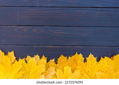 2,537 Border one side Images, Stock Photos & Vectors | Shutterstock