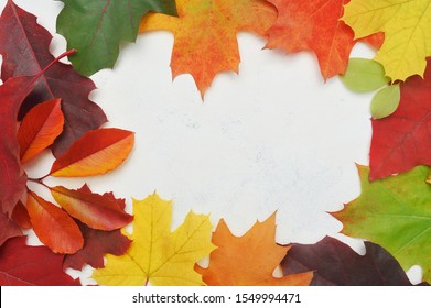 Autumn Leaves Frame Wreath. Fall Elements With Place For Your Text On White Background. Decor For Thanksgiving Day Design