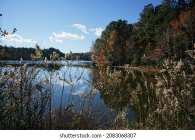 Autumn Leaves- Hampton Roads, VA