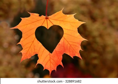 Autumn Leaves With Heart. Fall Background. Nature Card For Love.