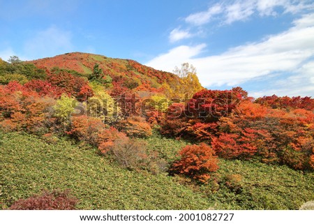 Autumn leaves of Kimenzan in Nasu,japan Stock fotó © 