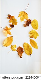 Autumn Leaves Laid Out In A Circle On A Light Background. Autumn Background. Vertical Shot