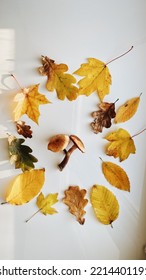 Autumn Leaves Laid Out In A Circle On A Light Background. Autumn Background. Vertical Shot