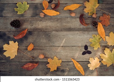 Autumn leaves lie in a circle on a wooden background. Copy space , top view . - Shutterstock ID 1511063423
