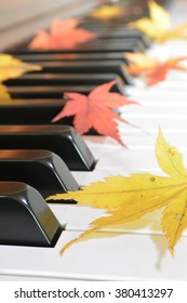 Autumn leaves (maple) and piano