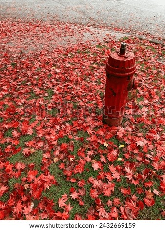 Autumn Leaves Match Fire Red Hydrant 