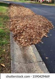 Autumn leaves neatly raked into a long pile against neighborhood street curb.