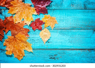 265,331 Autumn Board Images, Stock Photos & Vectors | Shutterstock