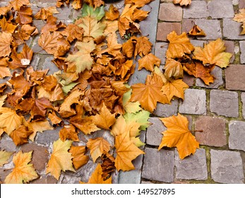 Autumn leaves on a cobblestone street. Background. - Powered by Shutterstock