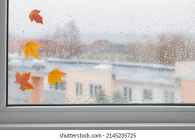 Autumn Leaves On Rainy Window Pane