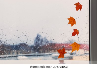 Autumn Leaves On Rainy Window Pane