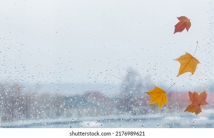 Autumn Leaves On Rainy Window Pane