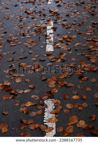 Similar – Image, Stock Photo autumn of spectators