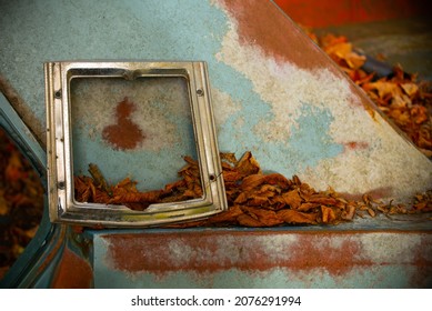 Autumn Leaves On Rusty Old Car In Scrap Yard Or Junkyard Peeling Paint And Rusted Metal Autumn Leaves Fallen Onto Rusty Vintage Car Chrome Square Frame On Green Blue Rusted Car Grunge Background 