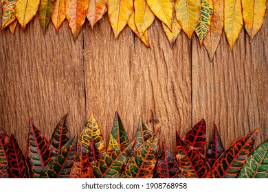 秋のイメージ の画像 写真素材 ベクター画像 Shutterstock