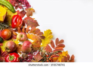 Autumn leaves on the white background. Copy space for text.