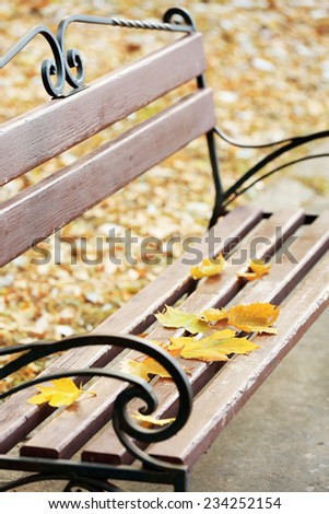 Autumn leaves on wooden bench at park