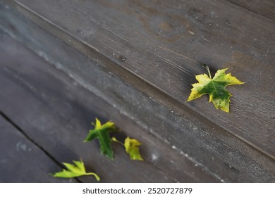 Autumn Leaves on Wooden Deck - Close-up of Fall Foliage on Weathered Wood - Powered by Shutterstock