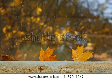 Similar – Image, Stock Photo bonnet decoration