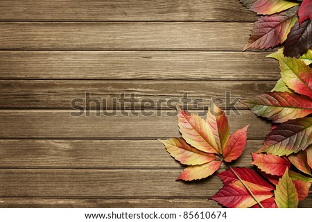 Autumn leaves over wooden background with copy space