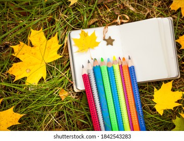 Autumn Leaves And Pencil Drawing On A Pad