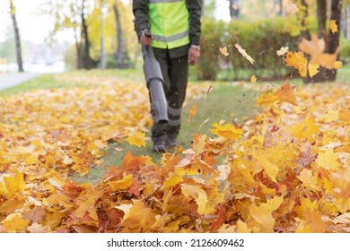 Autumn Leaves Scattering As The Landscaper Man Worker Clearing Lawn Gras With Cordless Leaf Blower In City Park