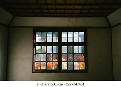 Autumn leaves seen from the window of an abandoned school