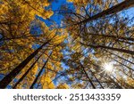 Autumn leaves at Senjogahara in Oku-Nikko (Tochigi Prefecture)