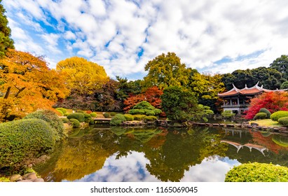 Shinjuku Gyoen Images Stock Photos Vectors Shutterstock